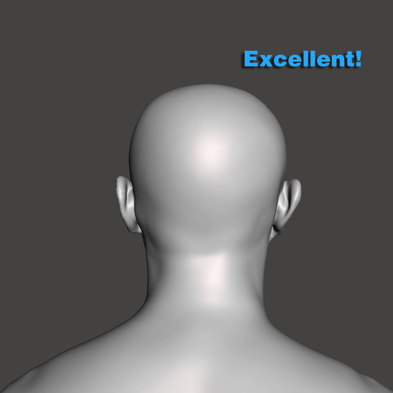 Back view of a suitable head scan