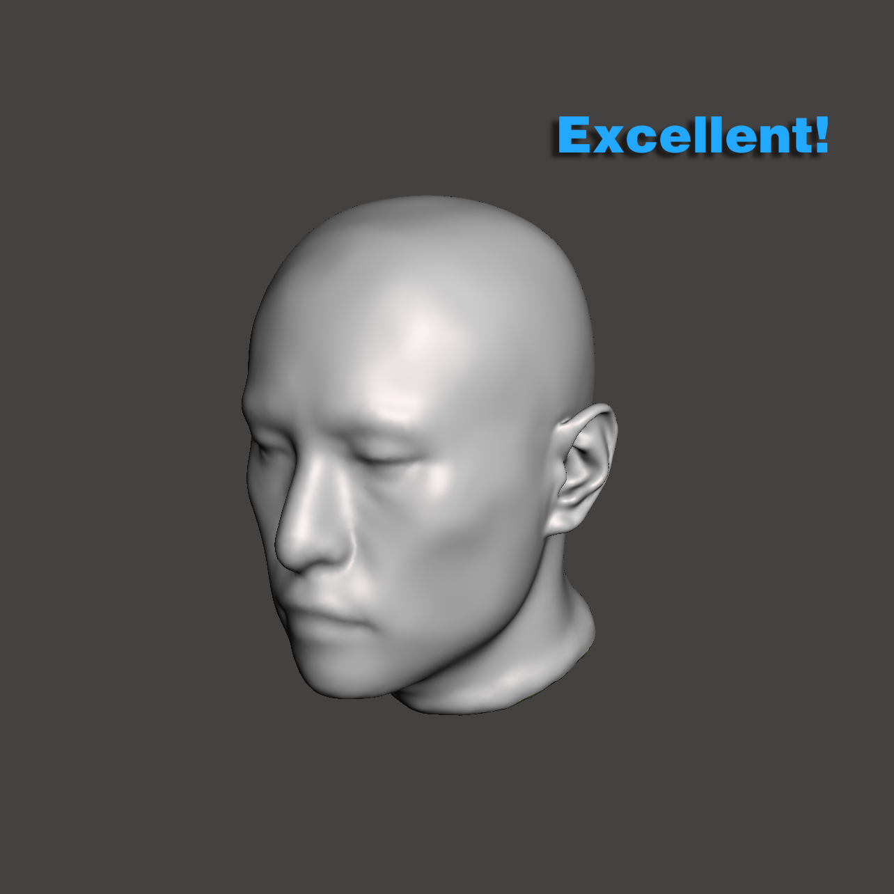 Acceptable head-only scan reference
