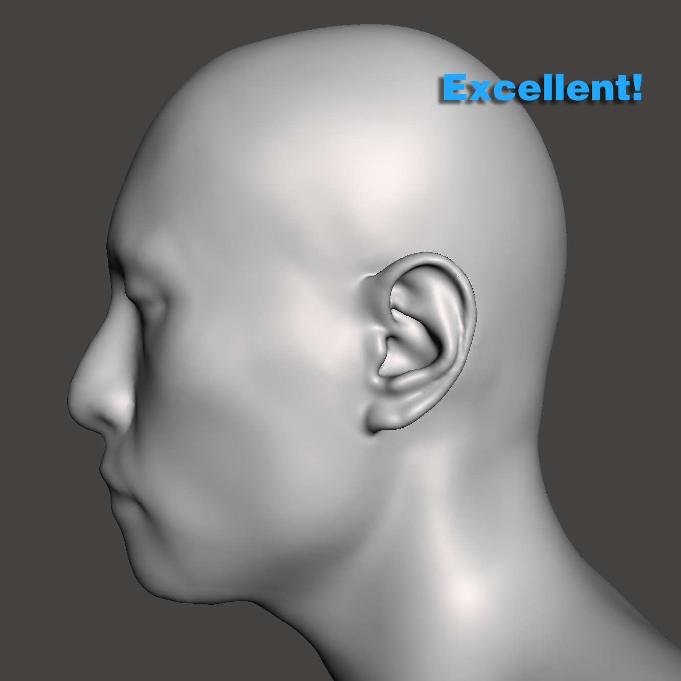 Side view of a suitable head scan